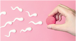 Kdaj sem najbolj plodna?