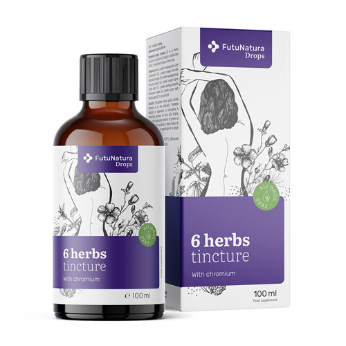 6 Herbs – Tincture