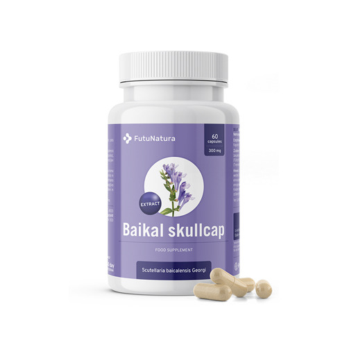 Chinese skullcap extract