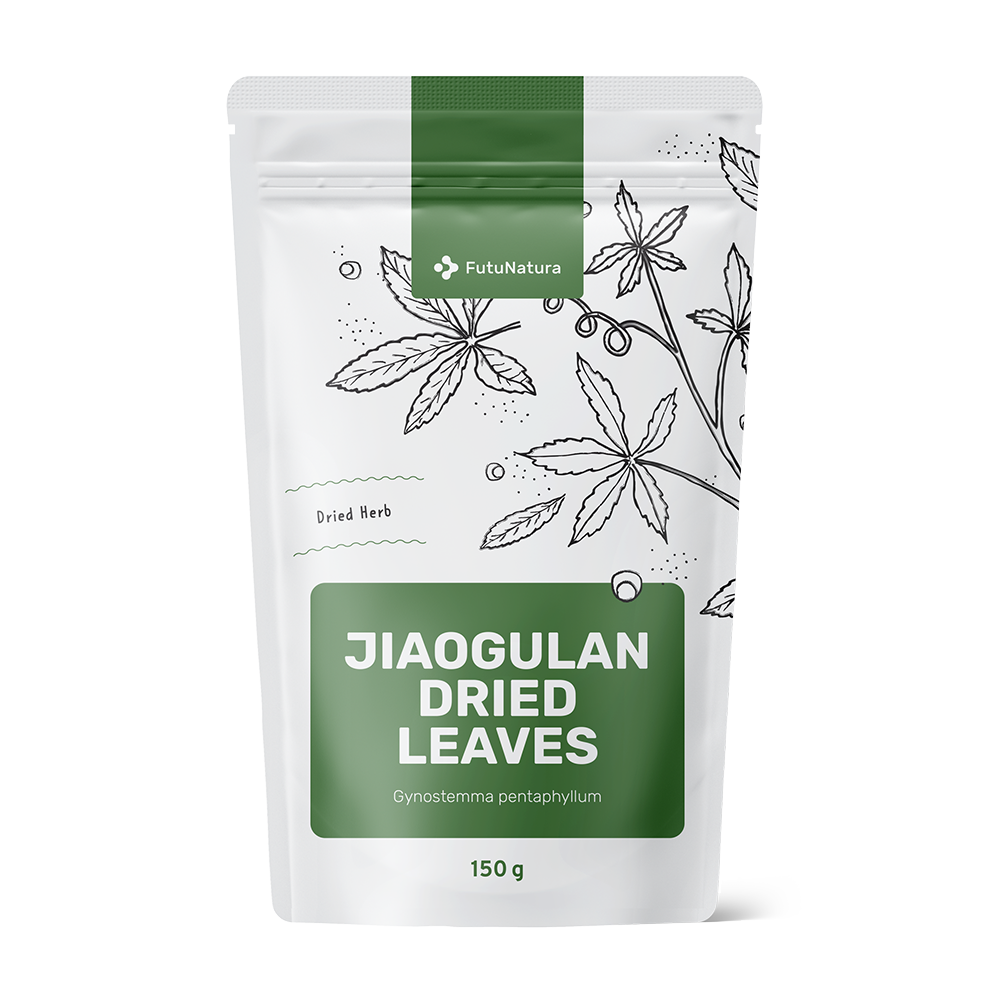 Jiaogulan Dried Leaves