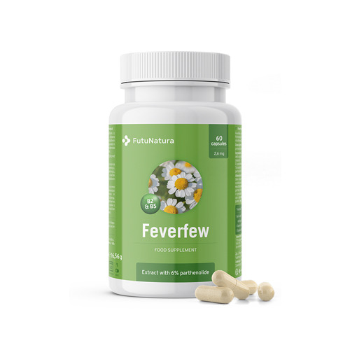 Feverfew