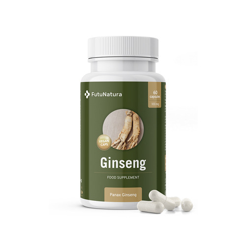 Red Panax Ginseng