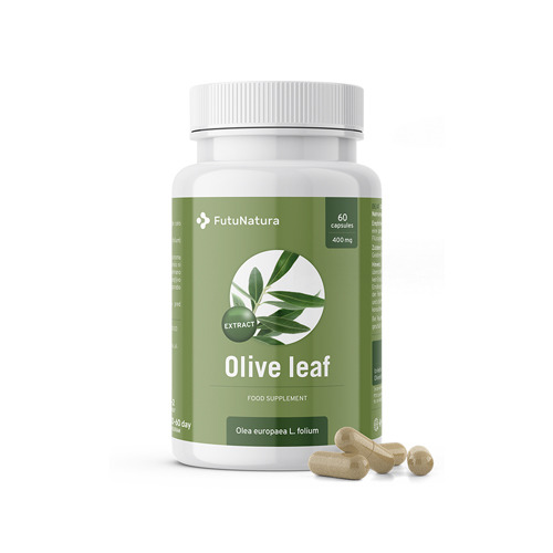 Olive Leaf - Extract
