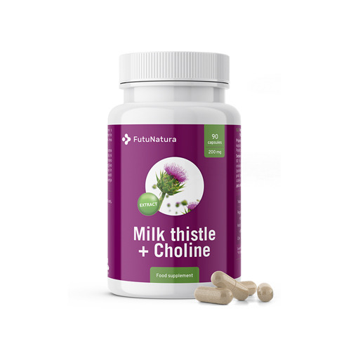 Milk thistle + choline
