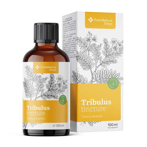 Tribulus terrestris