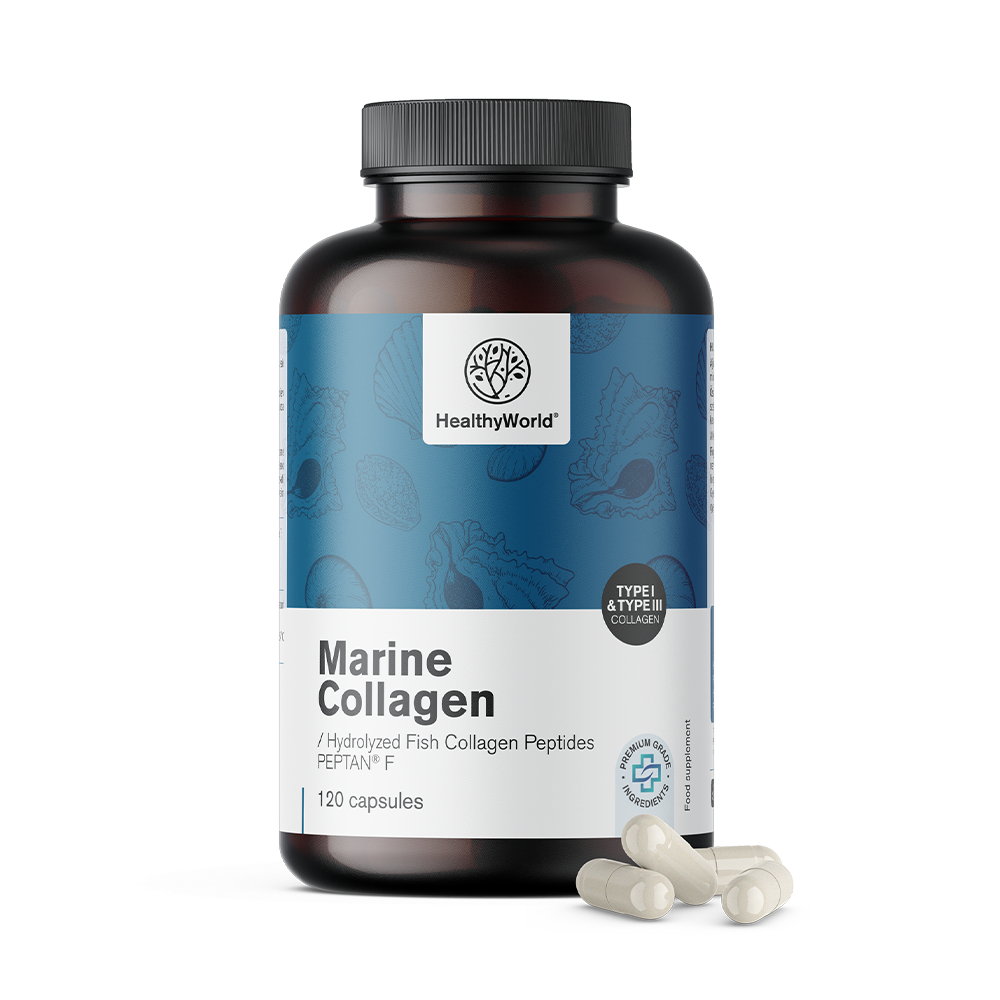 Hydrolyzed Fish Collagen in Capsules