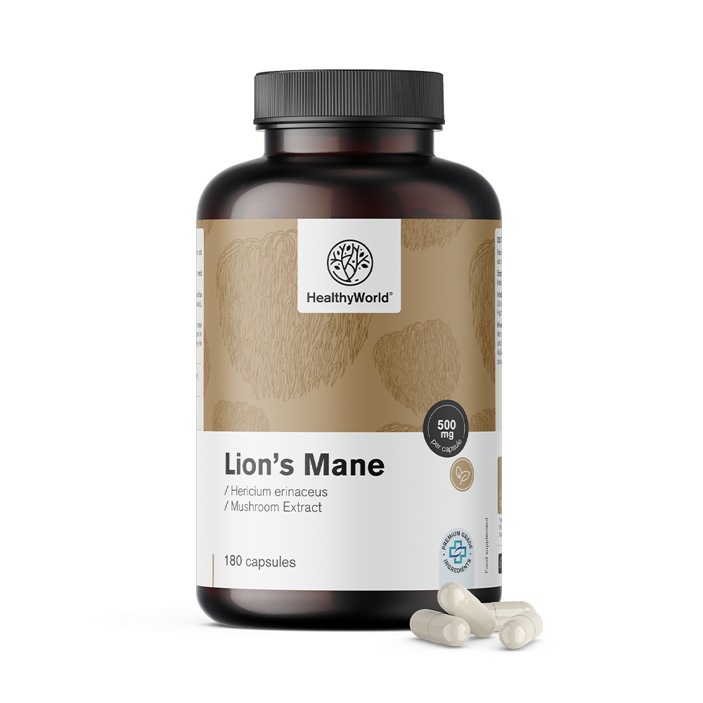 Hericium erinaceus (lion's mane) in capsules.
