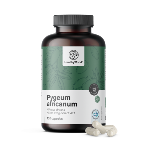 Pygeum – African Cherry Extract, 120 capsules