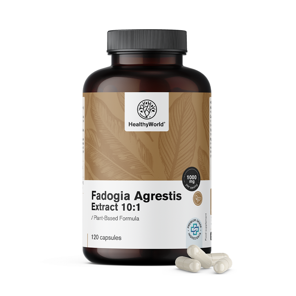 Fadogia Agrestis 1000 mg in capsules