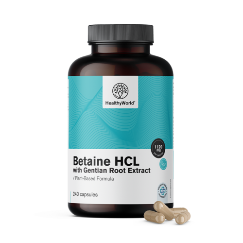 Betaine HCL 1120 mg, 240 capsules