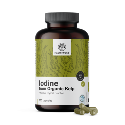 Natural Iodine 200 µg - from Organic Kelp Algae, 365 capsules