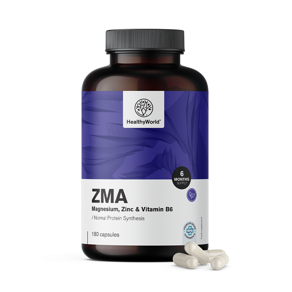 ZMA – Magnesium, Zinc and B6