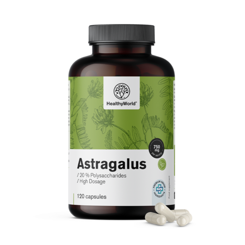 Astragalus – Extract, 120 capsules