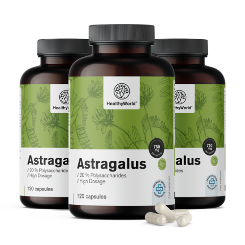 3x Astragalus – Extract, total 360 capsules