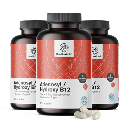3x Adenosyl/Hydroxy B12 2000 µg, total 270 capsules