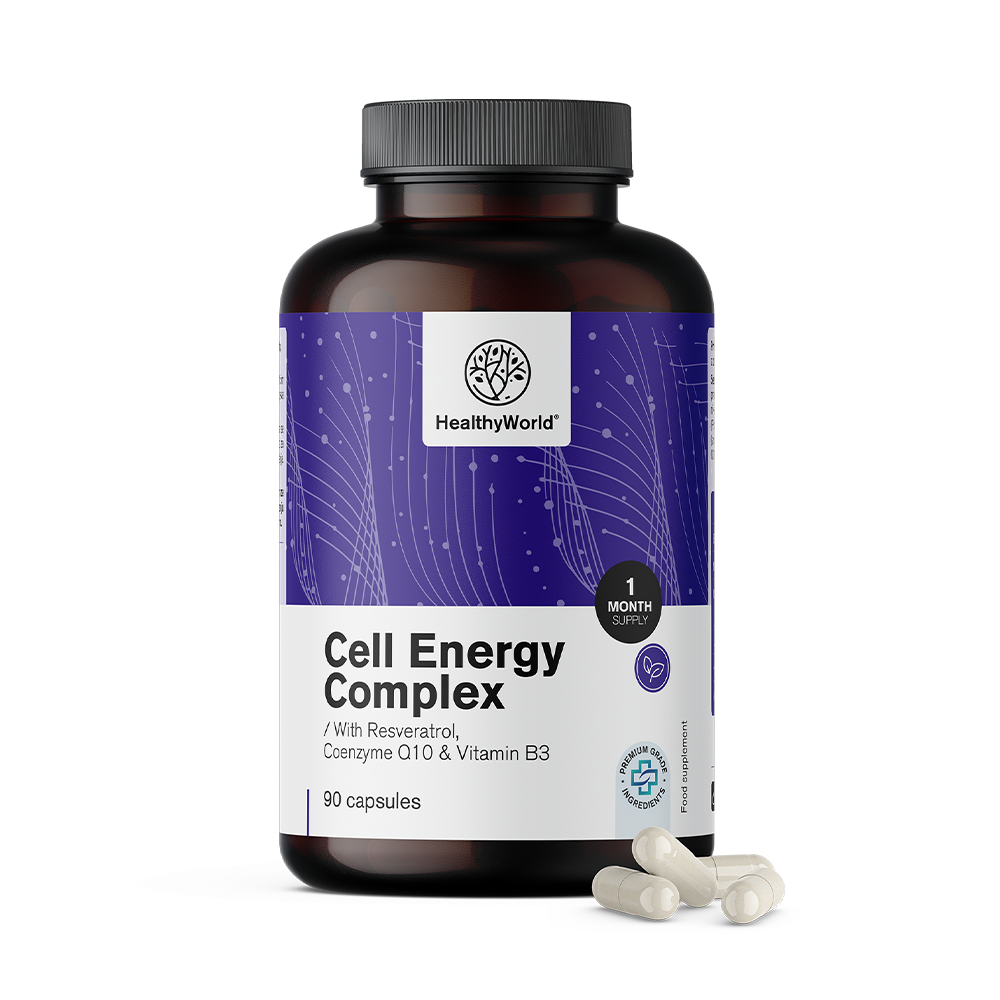 Cell Energy – Energy-Yielding Metabolism Complex
