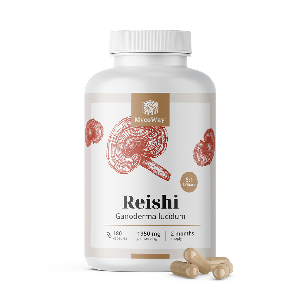 Reishi 1950 mg - Extract 5:1
