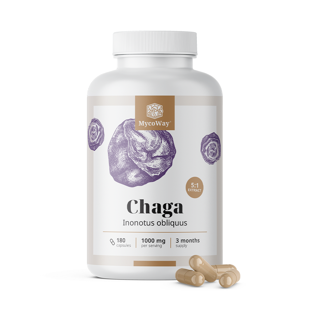 Chaga 1000 mg - Extract 5:1