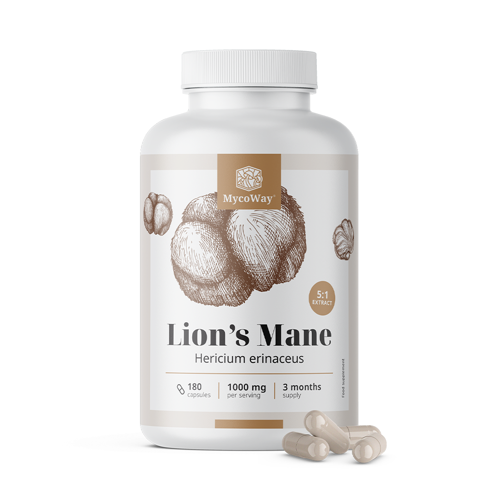 Lion’s Mane 1000 mg – 5:1 Extract