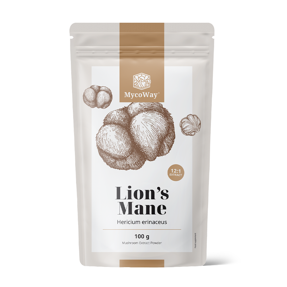 Lion's Mane Extract Powder