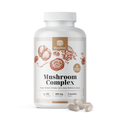 Mushroom Complex, 180 capsules