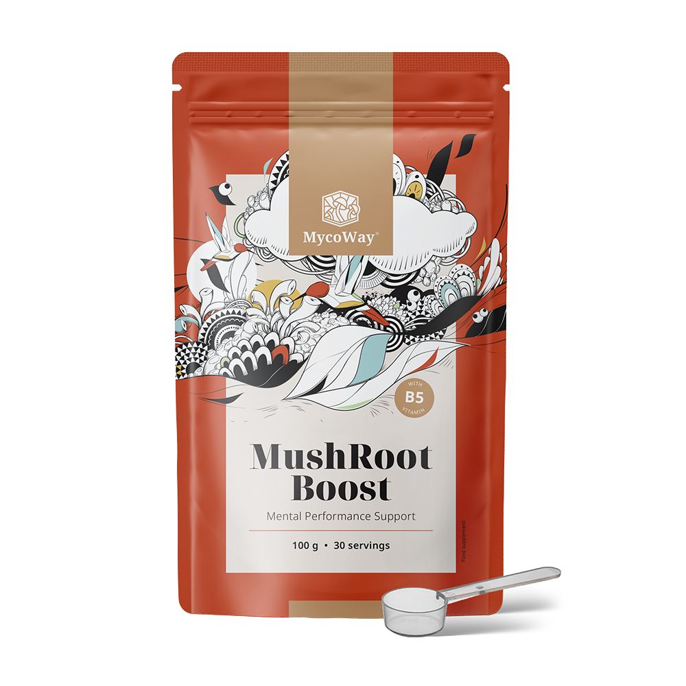 MushRoot Boost – Drink for Mental Performance