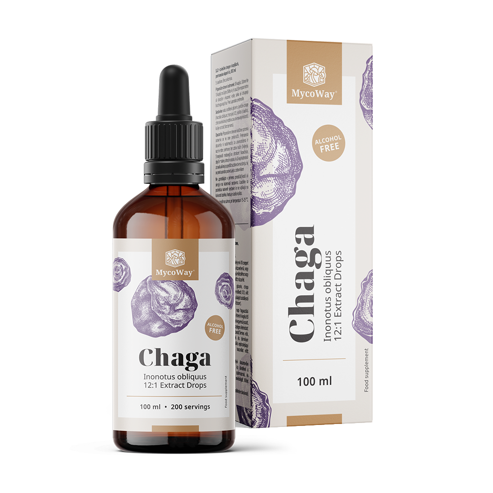 Chaga – Extract in Drops