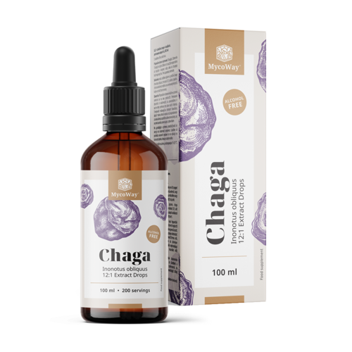 Chaga – Extract in Drops, 100 ml