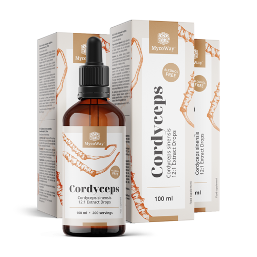 3x Cordyceps – Extract in Drops, total 300 ml