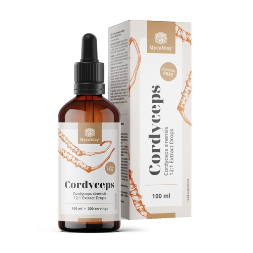 Cordyceps – Extract in Drops, 100 ml