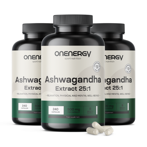 3x Ashwagandha 500 mg – Extract 25:1, total 720 capsules
