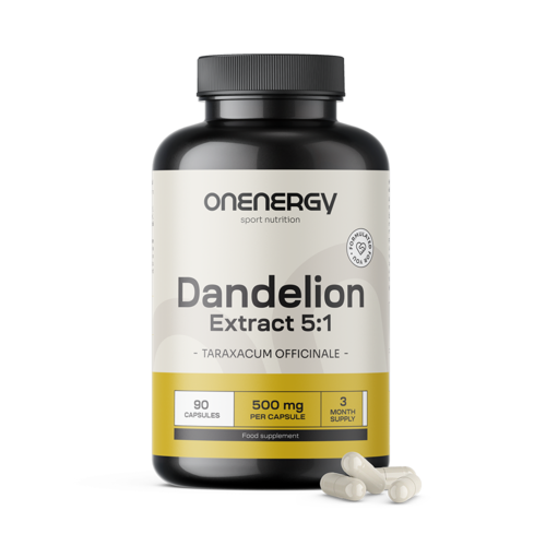 Dandelion – Extract 5:1, 90 capsules
