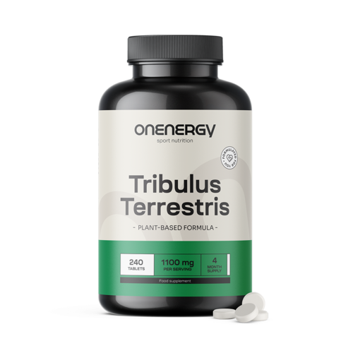 Tribulus (Tribulus Terrestris) – Extract 15:1, 120 tablets