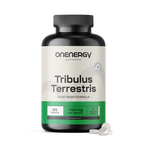 Tribulus (Tribulus Terrestris) – Extract 15:1, 120 tablets