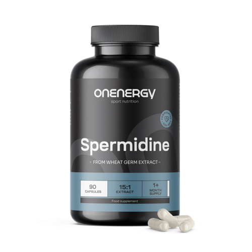 Spermidine – from Wheat Germ Extract, 90 capsules